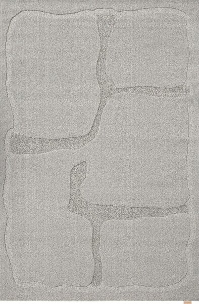 Szürke gyapjú szőnyeg 200x300 cm Morphic Organica – Agnella