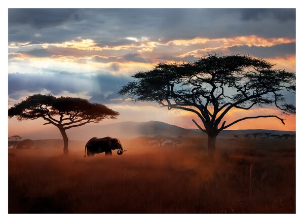 Kép - Serengeti Nemzeti Park, Tanzánia, Afrika (üvegen) (70x50 cm)