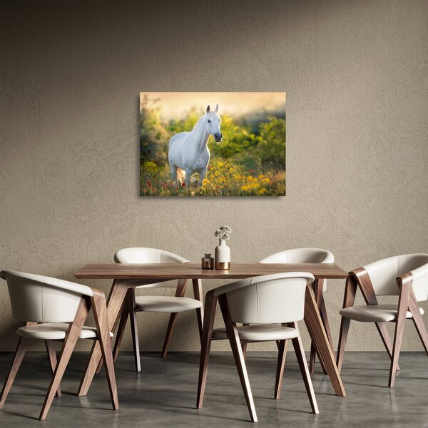 Egy fehér ló képe a réten (üvegen) (70x50 cm)