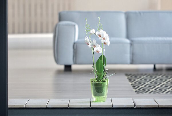 Coubi Orchidea Kaspó Átlátszó Műanyag Jégzöld 16 cm