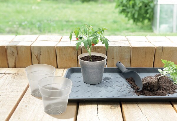 Planti Átlátszó Palántanevelő Cserép 14,5 cm