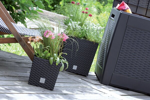 Rato Low Rattan Hatású Virágtartó Láda Mokka 26 cm