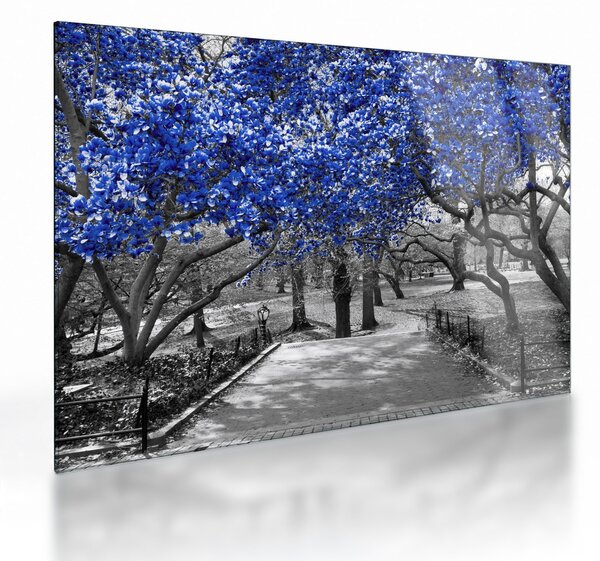 Kép - Kék fák, Central Park, New York (üvegen) (70x50 cm)