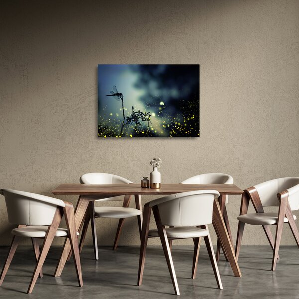 Kép - szitakötő a csillogó éjszakában (üvegen) (70x50 cm)