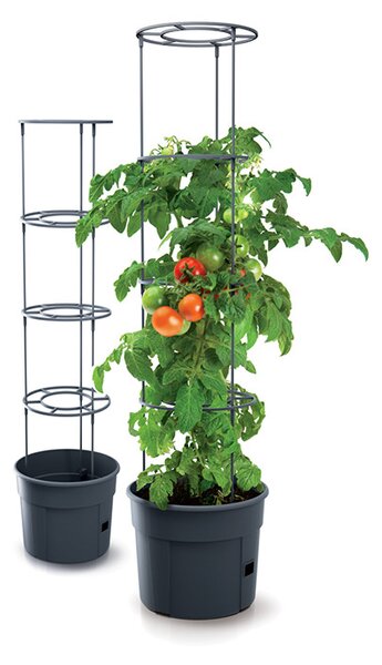 Tomato Grower Paradicsom Termesztő Cserép Antracit 35 cm