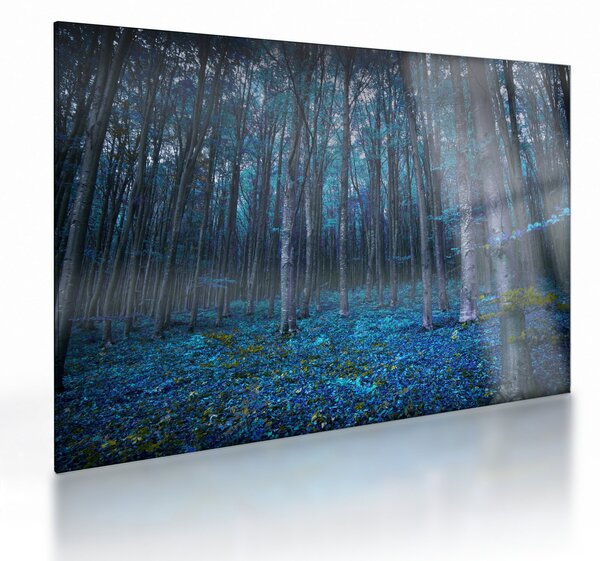Kép - varázslatos erdő (üvegen) (70x50 cm)