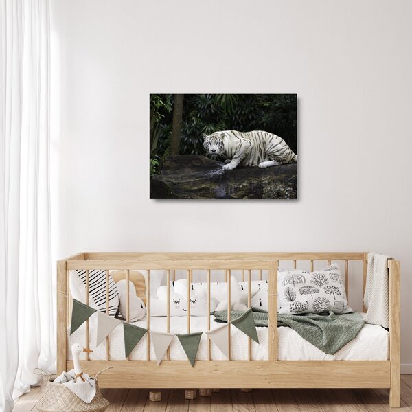 Kép - albínó tigris (üvegen) (70x50 cm)