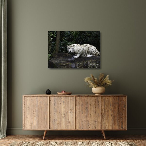 Kép - albínó tigris (üvegen) (70x50 cm)