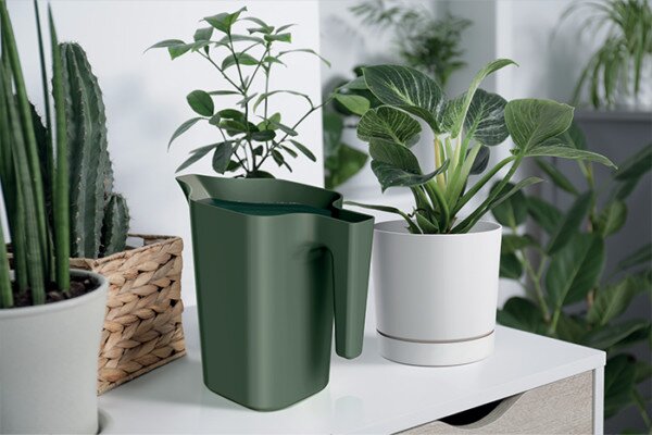Jug Öntözőkanna Fenyőzöld 1,8 literes