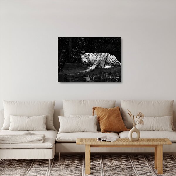 Kép - albínó tigris, fekete-fehér (üvegen) (70x50 cm)