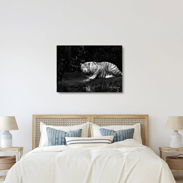 Kép - albínó tigris, fekete-fehér (üvegen) (70x50 cm)