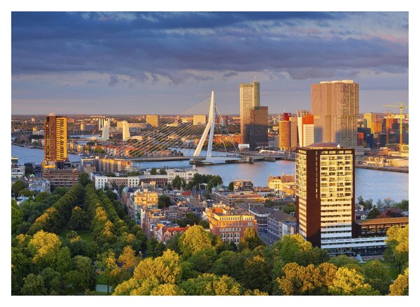 Kép - panoráma Rotterdam, Hollandia (üvegen) (70x50 cm)