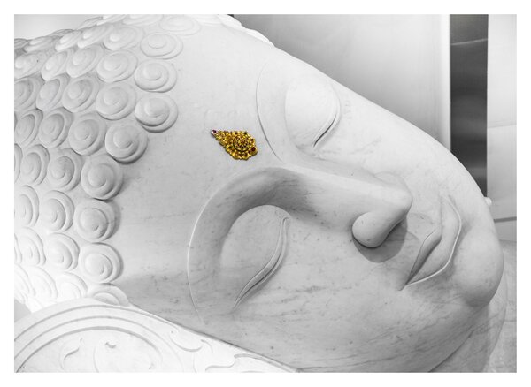 Kép - Fehér Buddha (üvegen) (70x50 cm)