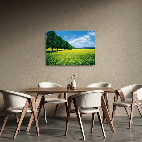 A mező képe egy sikátorral (üvegen) (70x50 cm)
