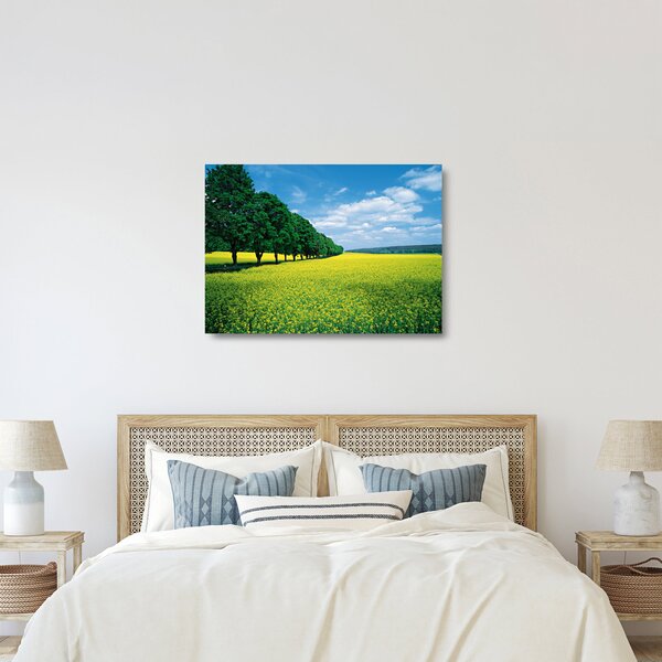 A mező képe egy sikátorral (üvegen) (70x50 cm)