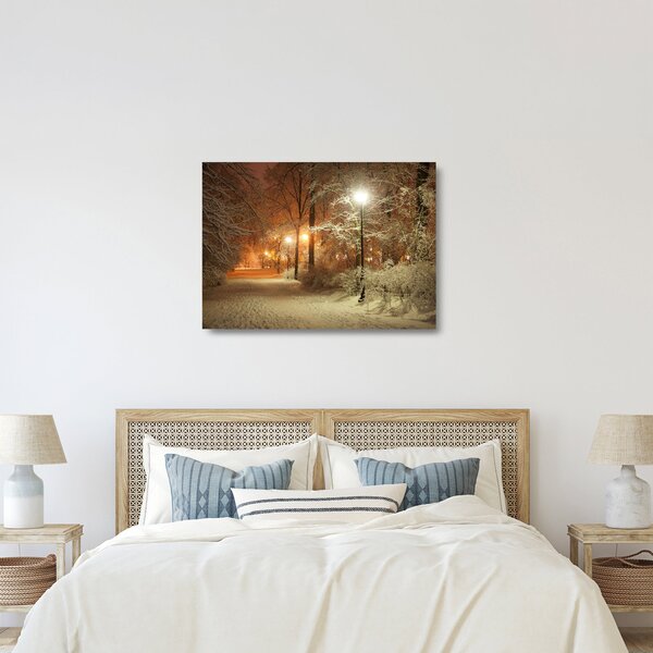 Kép - havas park (üvegen) (70x50 cm)