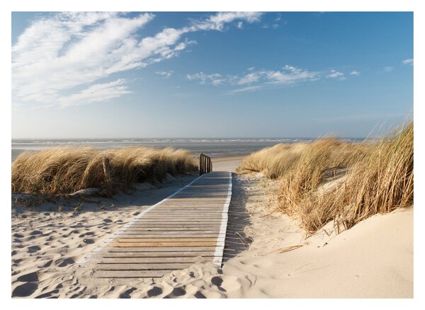 Kép - Homokos strand Langeoog szigetén, Németországban (üvegen) (70x50 cm)