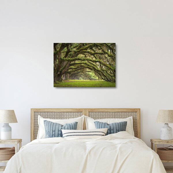 Kép - Oaks Avenue, Charleston, Dél-Karolina, Egyesült Államok (üvegen) (70x50 cm)