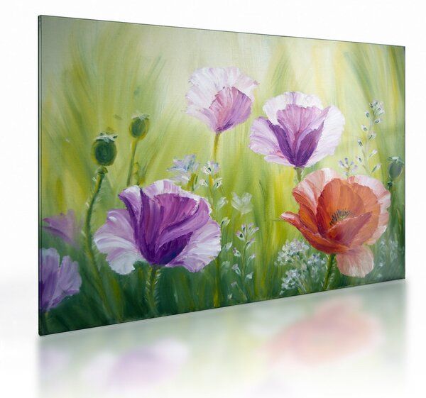 Kép - Pipacsok (üvegen) (70x50 cm)