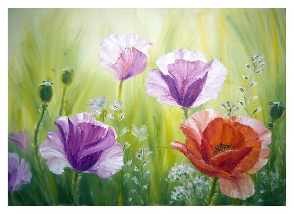 Kép - Pipacsok (üvegen) (70x50 cm)