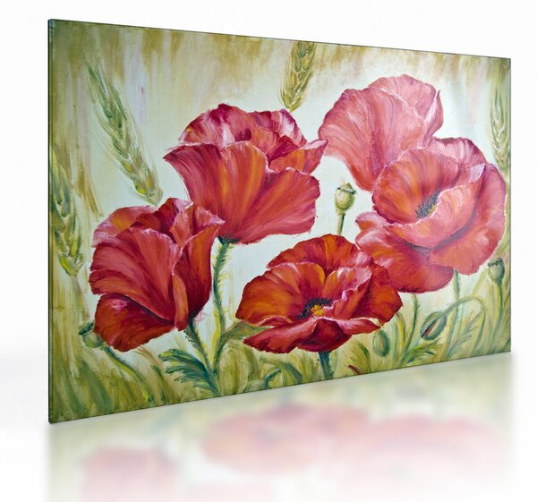 Kép - Pipacsvirágok (üvegen) (70x50 cm)