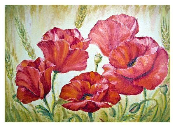 Kép - Pipacsvirágok (üvegen) (70x50 cm)