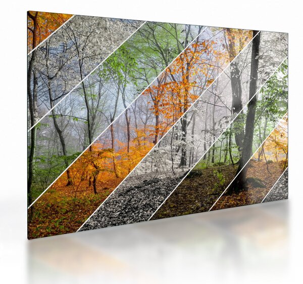 Kép - Változó évszakok (üvegen) (70x50 cm)
