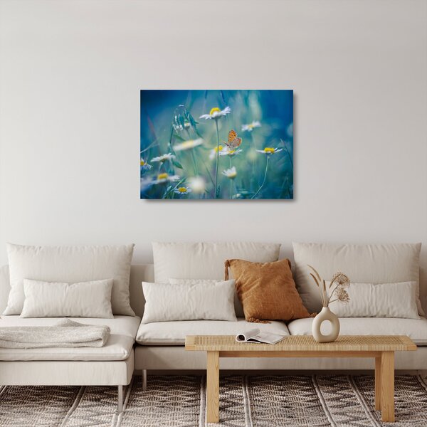 Kép - pillangó a százszorszépen (üvegen) (70x50 cm)