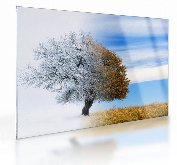 Kép - Évszakváltás (üvegen) (70x50 cm)
