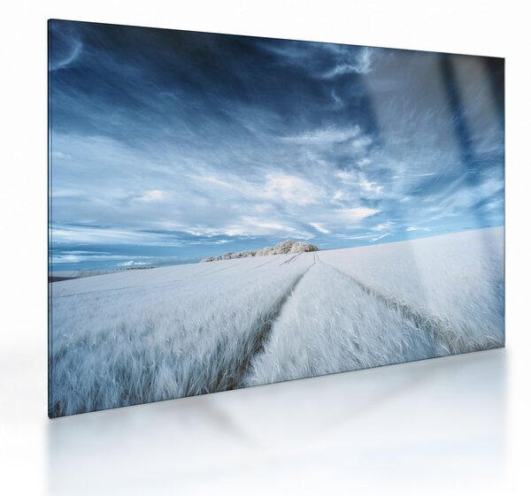 Mezőkép (üvegen) (70x50 cm)