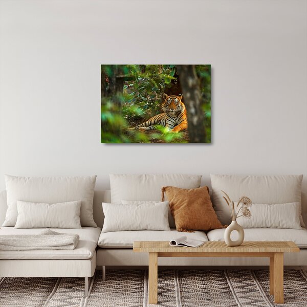 Pihenő tigris képe (üvegen) (70x50 cm)