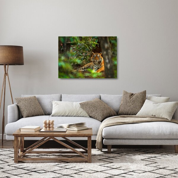 Pihenő tigris képe (üvegen) (70x50 cm)