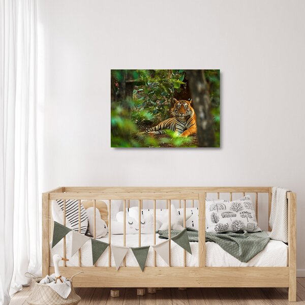 Pihenő tigris képe (üvegen) (70x50 cm)