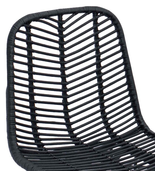 Bárszék 2 pcs Fekete 44,5 x 53 x 111 cm Rattan és Vas