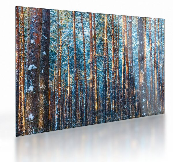 Kép - téli erdő (üvegen) (70x50 cm)