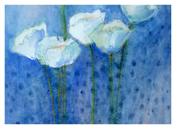 Kép - fehér tulipán (üvegen) (70x50 cm)