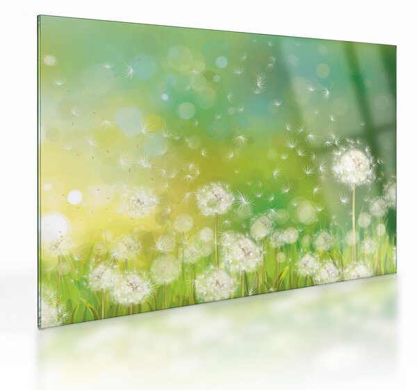 Kép - Virágozatlan pitypang (üvegen) (70x50 cm)
