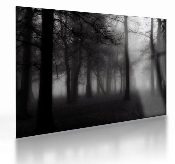 Kép - erdő a ködben (üvegen) (70x50 cm)