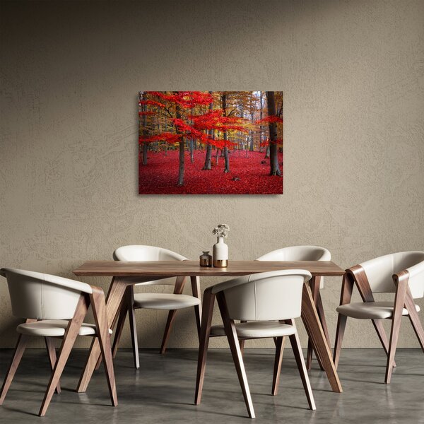 Kép - vörös erdő (üvegen) (70x50 cm)