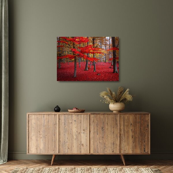 Kép - vörös erdő (üvegen) (70x50 cm)