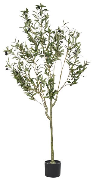 Műnövény OLIVE TREE 153 cm Zöld