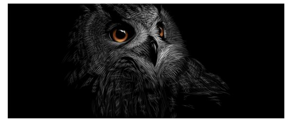Kép - bagoly, ábra (120x50 cm)