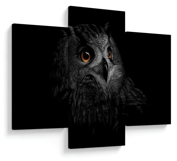 Kép - bagoly, ábra (90x60 cm)