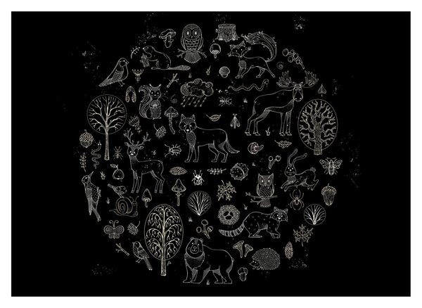 Kép - természet (70x50 cm)