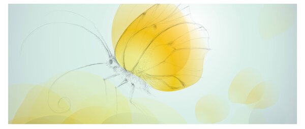Kép - Sárga pillangó (120x50 cm)
