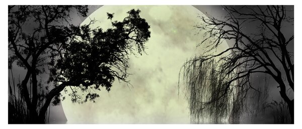 Kép - Telihold a felszín felett, fekete-fehér változat (120x50 cm)