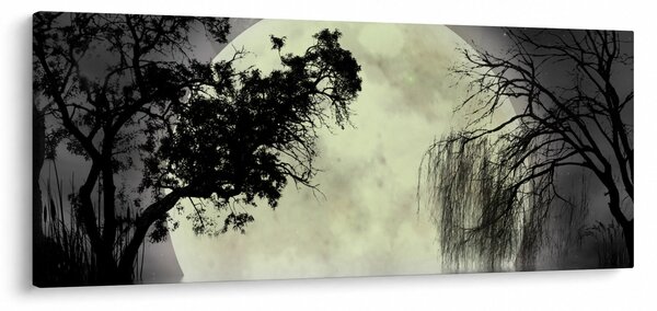 Kép - Telihold a felszín felett, fekete-fehér változat (120x50 cm)