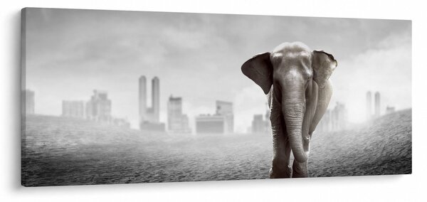 Kép -Elefánt egy nagyvárosban, fekete-fehér változat (120x50 cm)