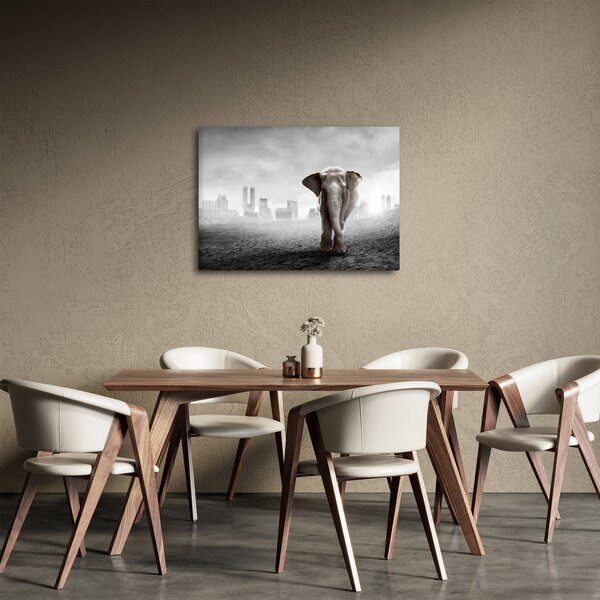 Kép -Elefánt egy nagyvárosban, fekete-fehér változat (70x50 cm)