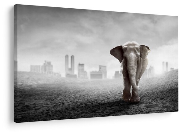Kép -Elefánt egy nagyvárosban, fekete-fehér változat (90x60 cm)